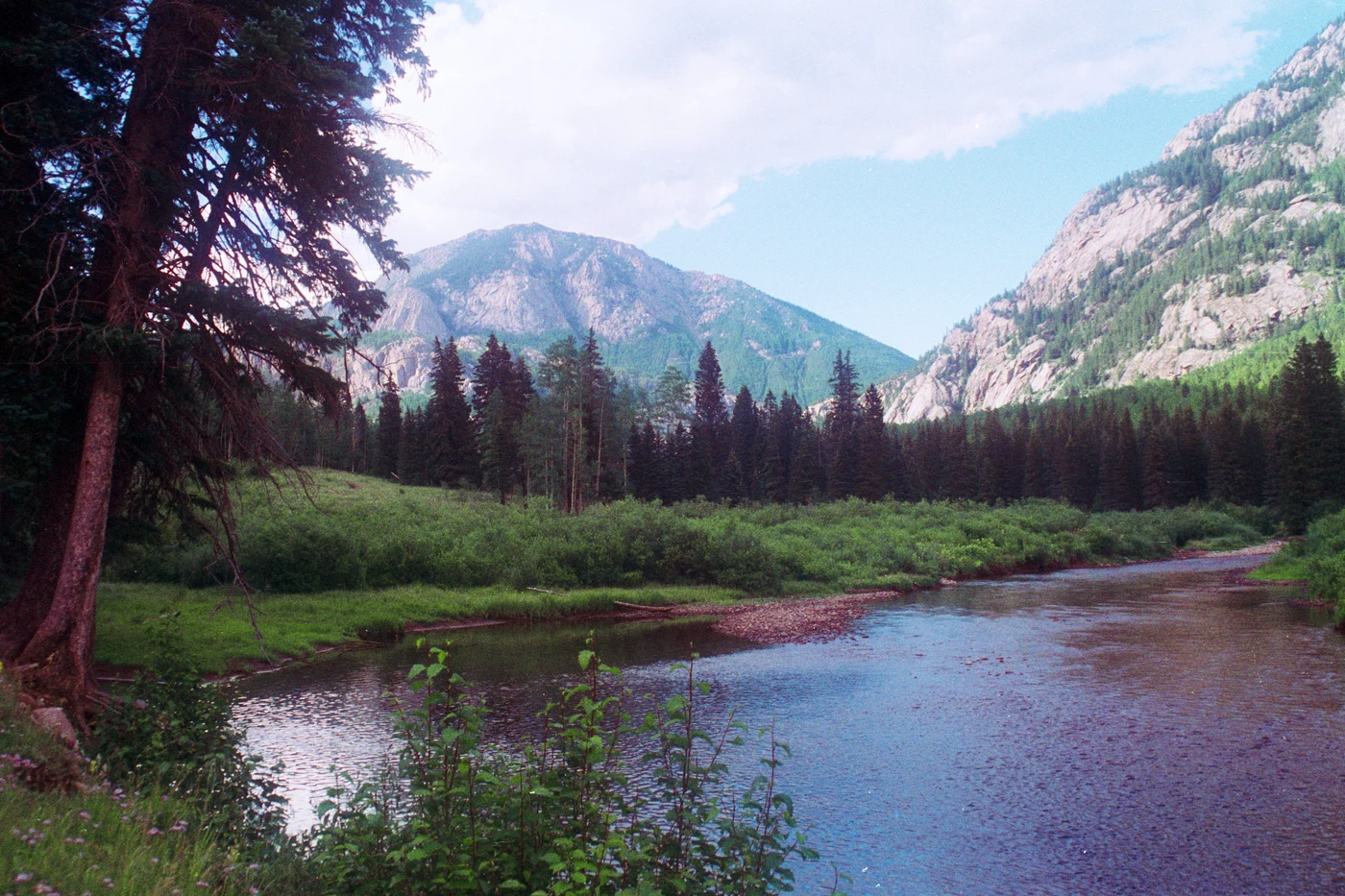 Graham Creek Campground