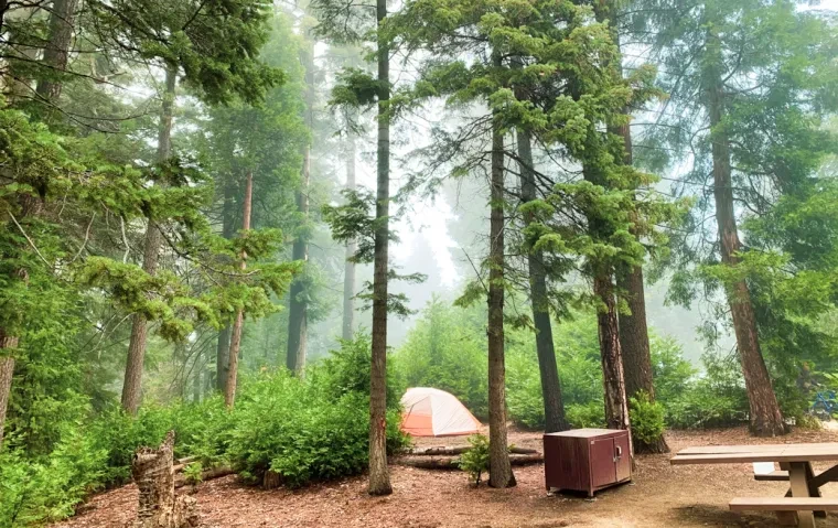 Dogwood Family Campground