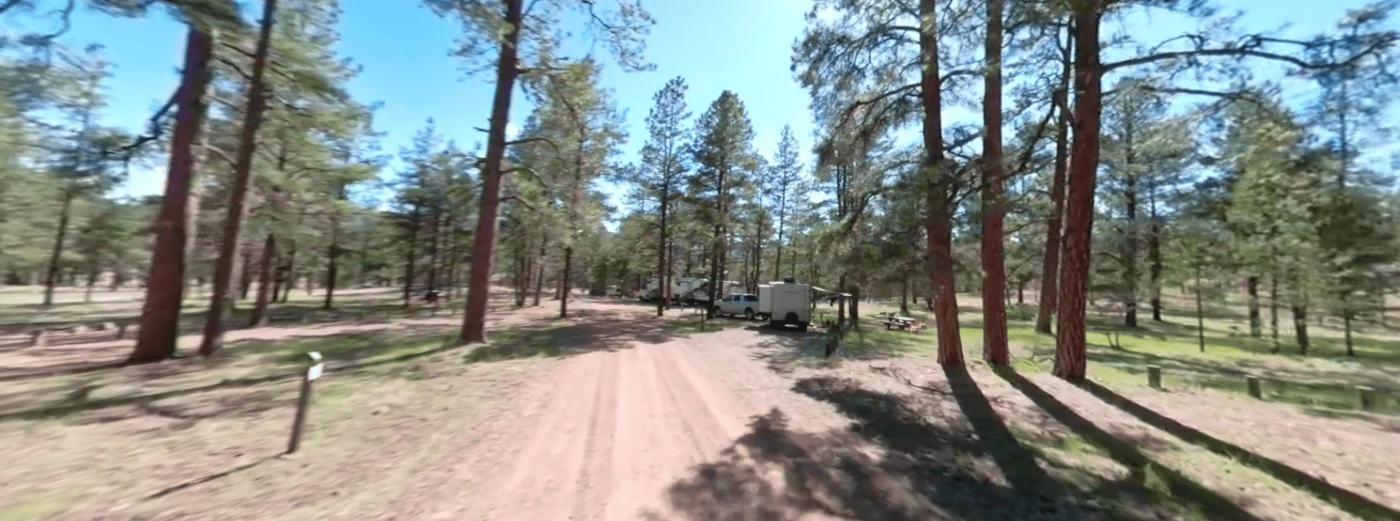 Luna Lake Campground