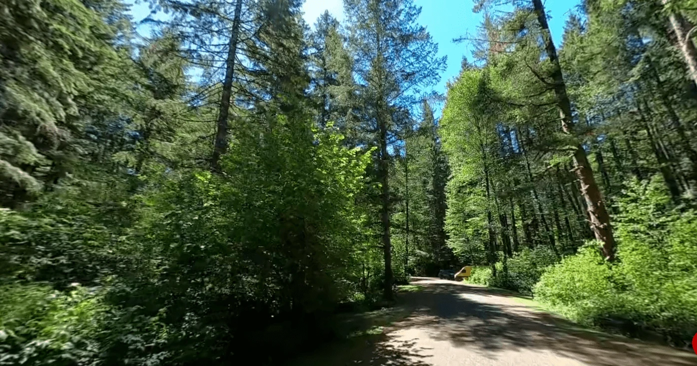 Alsea Falls Recreation Site Campground