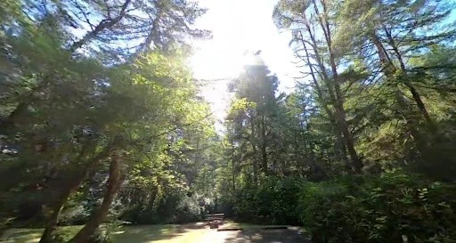Sutton Campground
