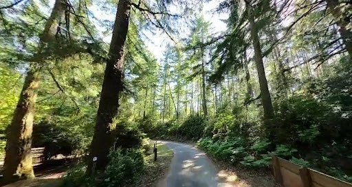 Sutton Campground