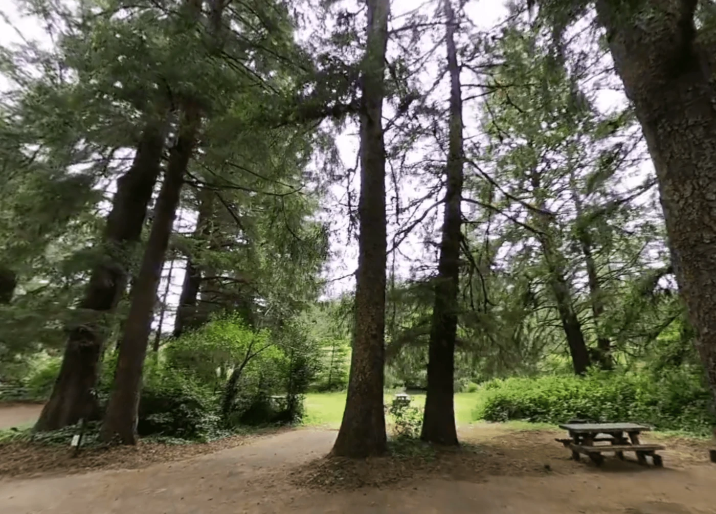 Tyee Campground