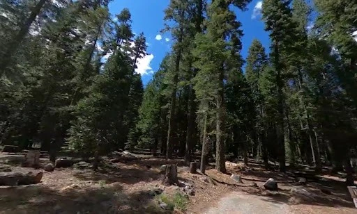 Lewis At French Meadows Campground