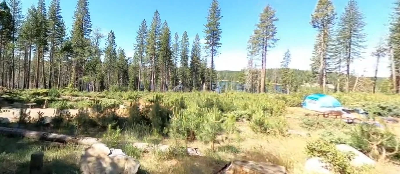 Stumpy Meadows Campground