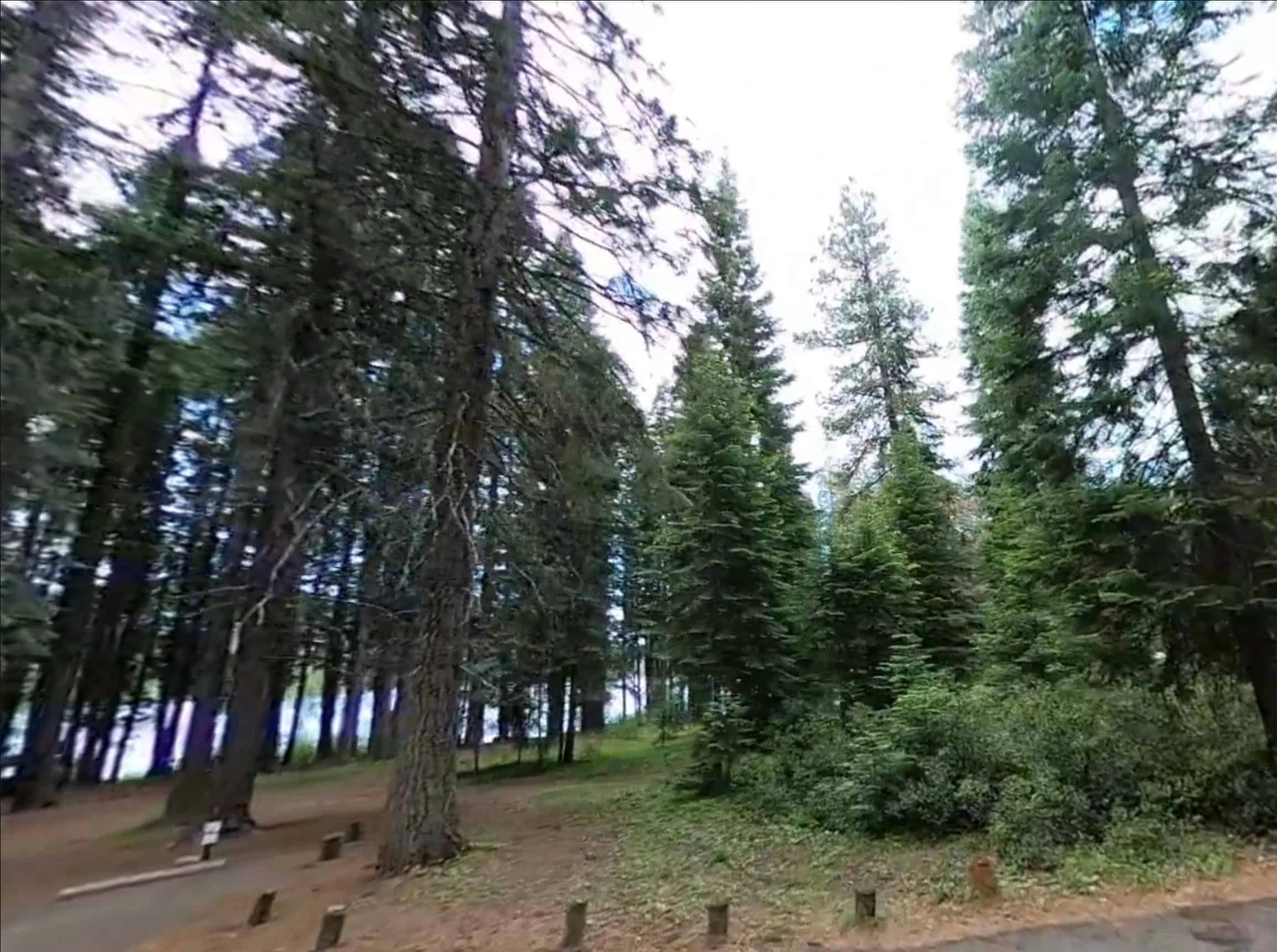 Aspen Point Campground