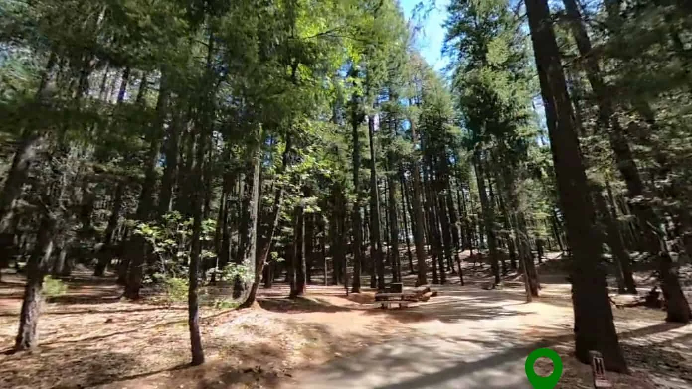Bushytail Campground