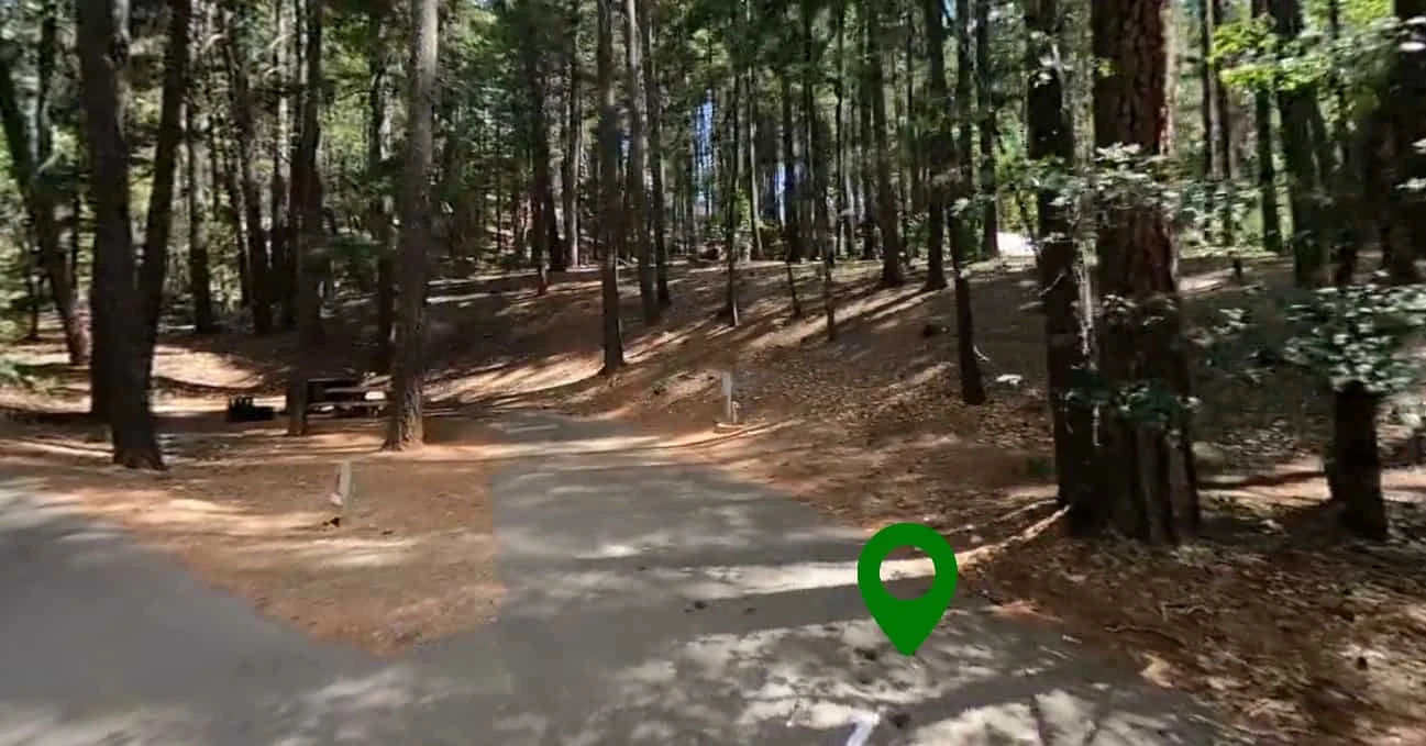 Bushytail Campground