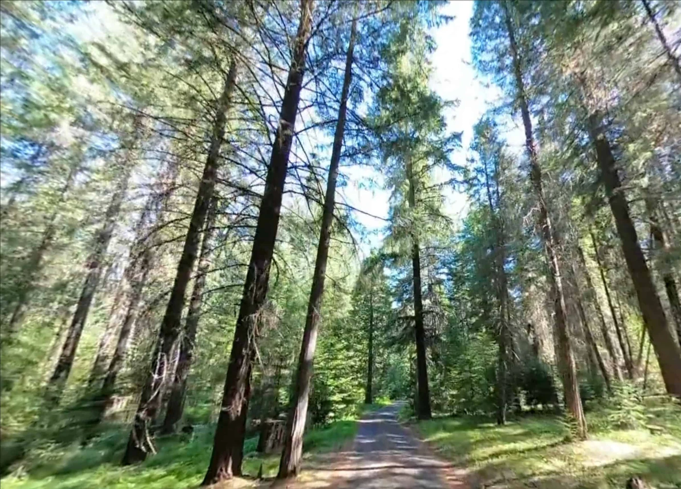 Pioneer Ford Campground