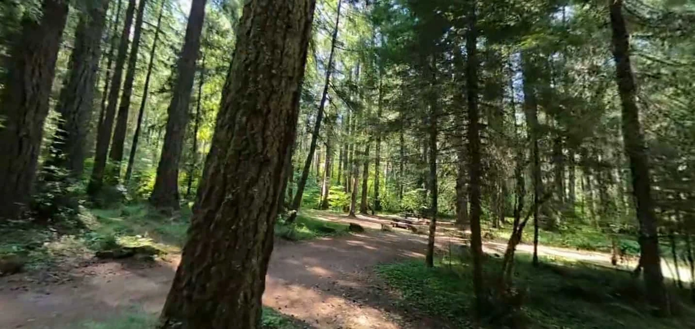 Frissell Crossing Campground