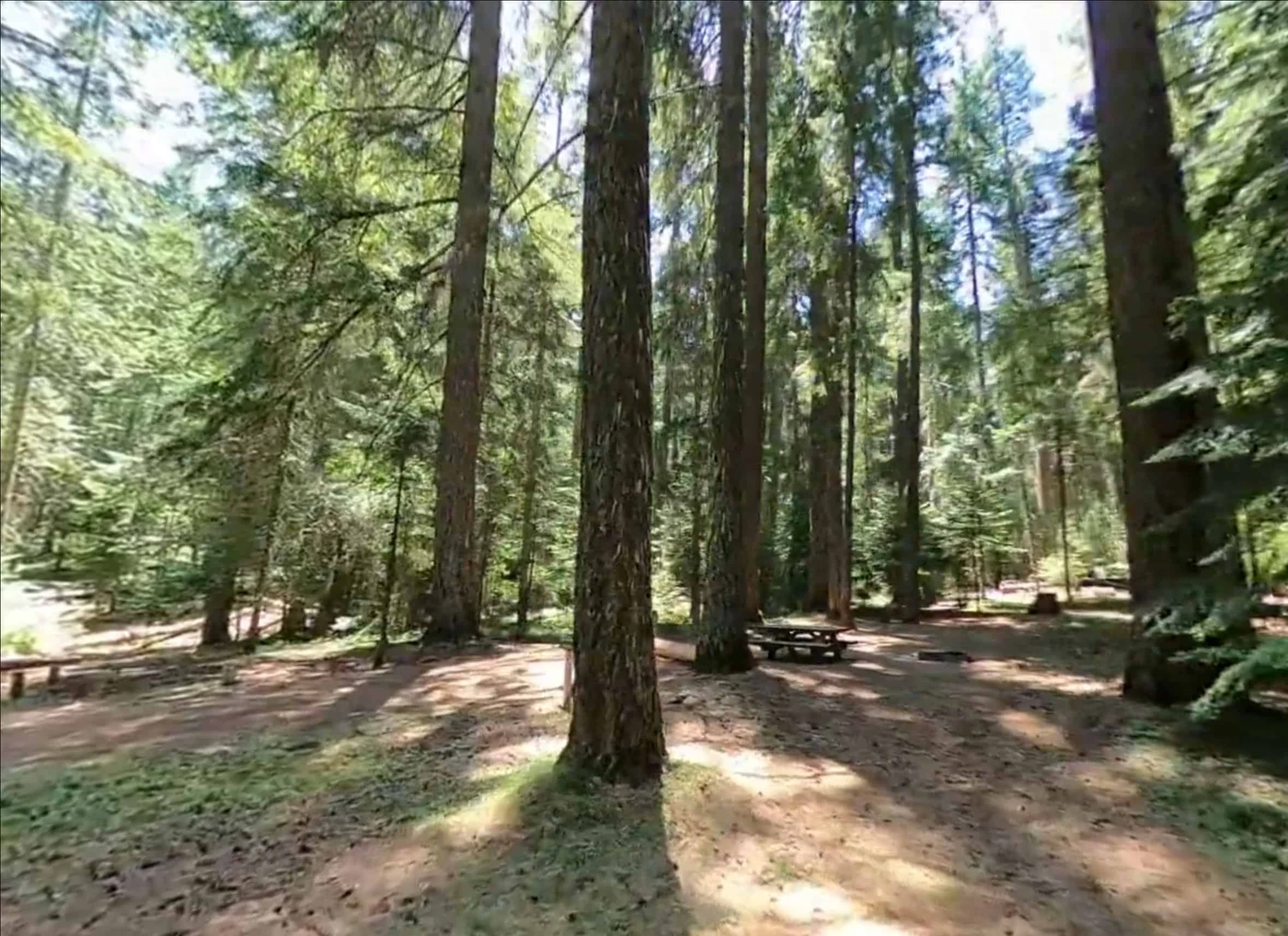 Bear Springs Campground