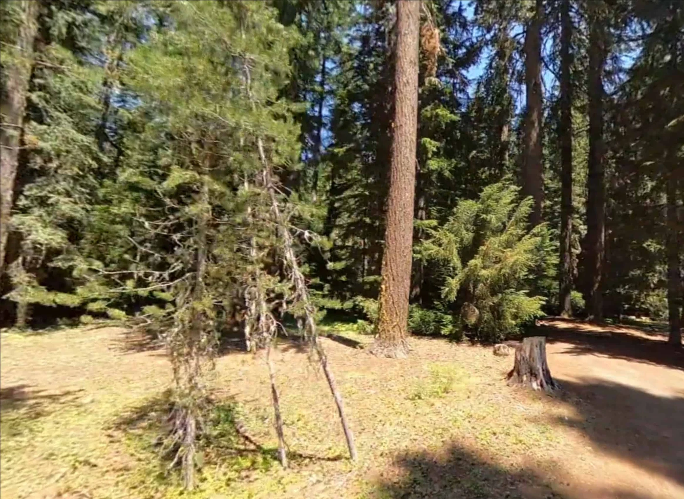 Little Crater Lake Campground