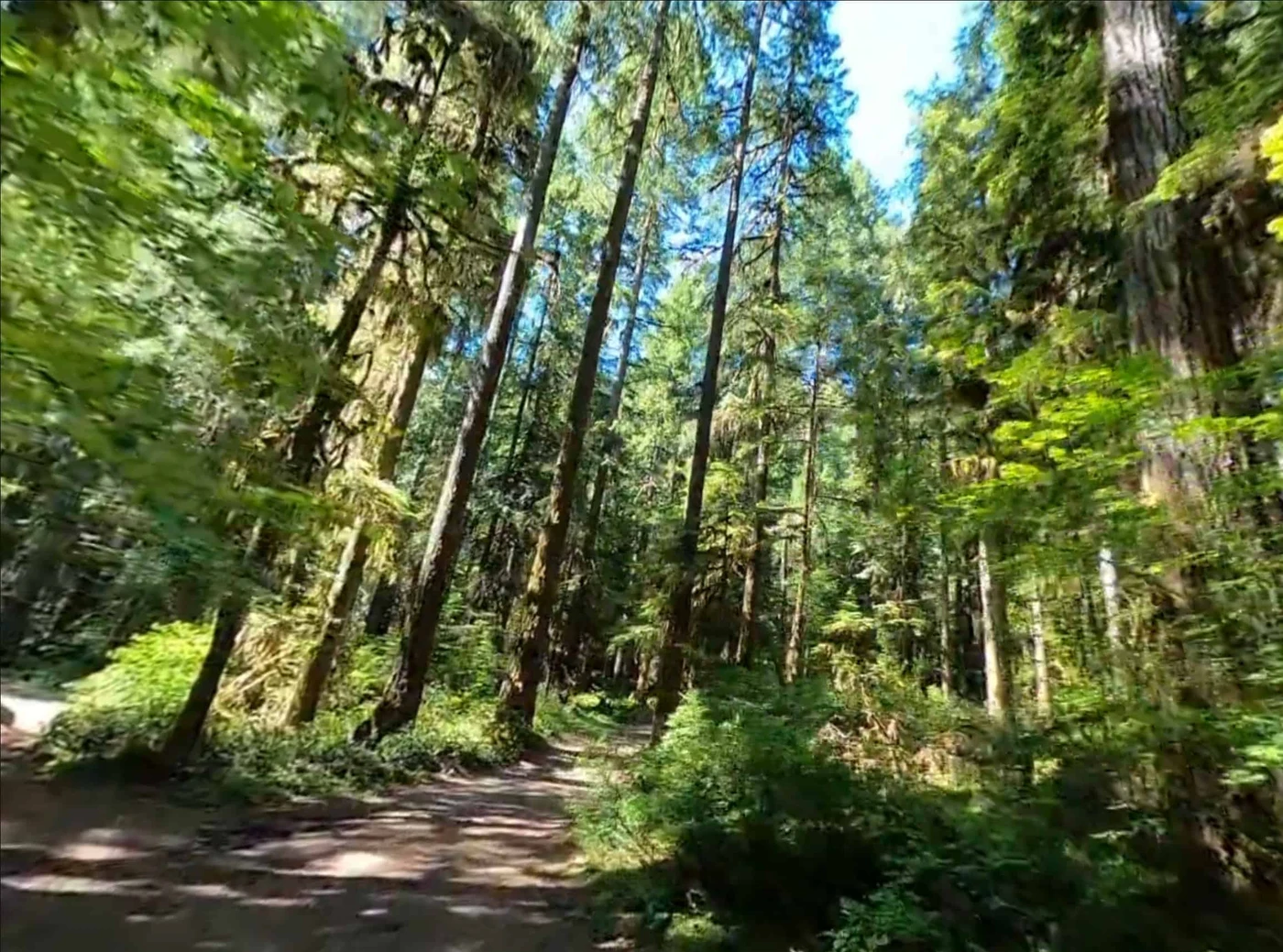 Lund Park Campground