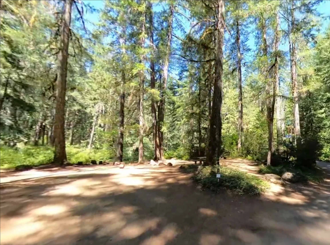 Olallie on Mckenzie Highway Campground