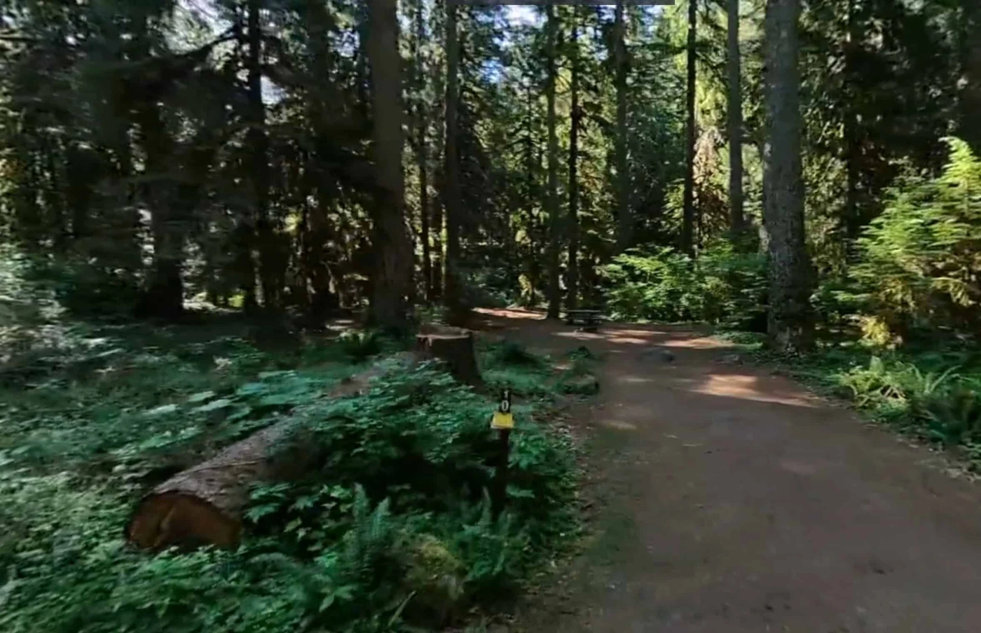Camp Creek Campground