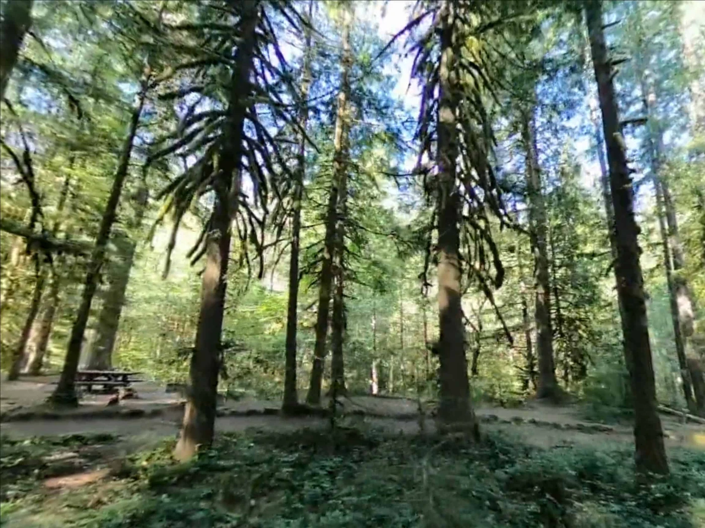 Tollgate Campground