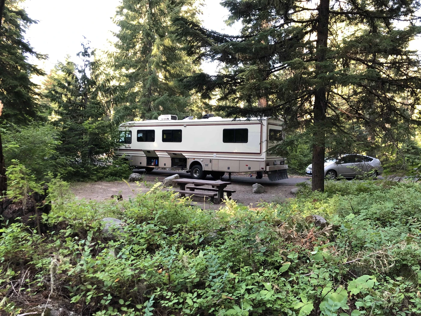 Salmon La Sac Campground