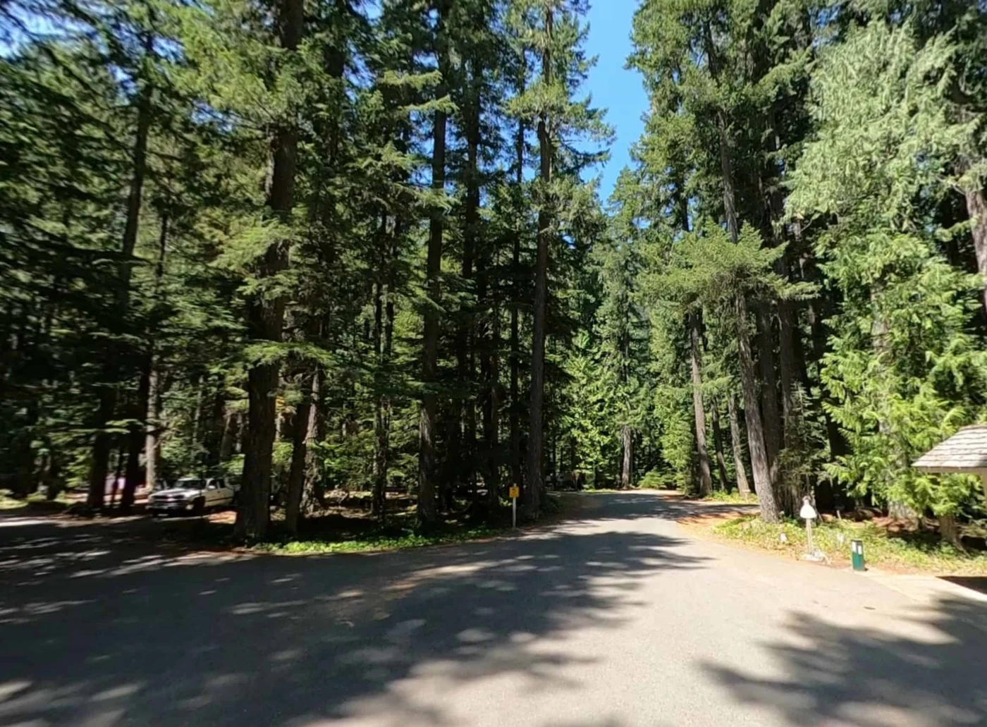 Silver Springs Campground