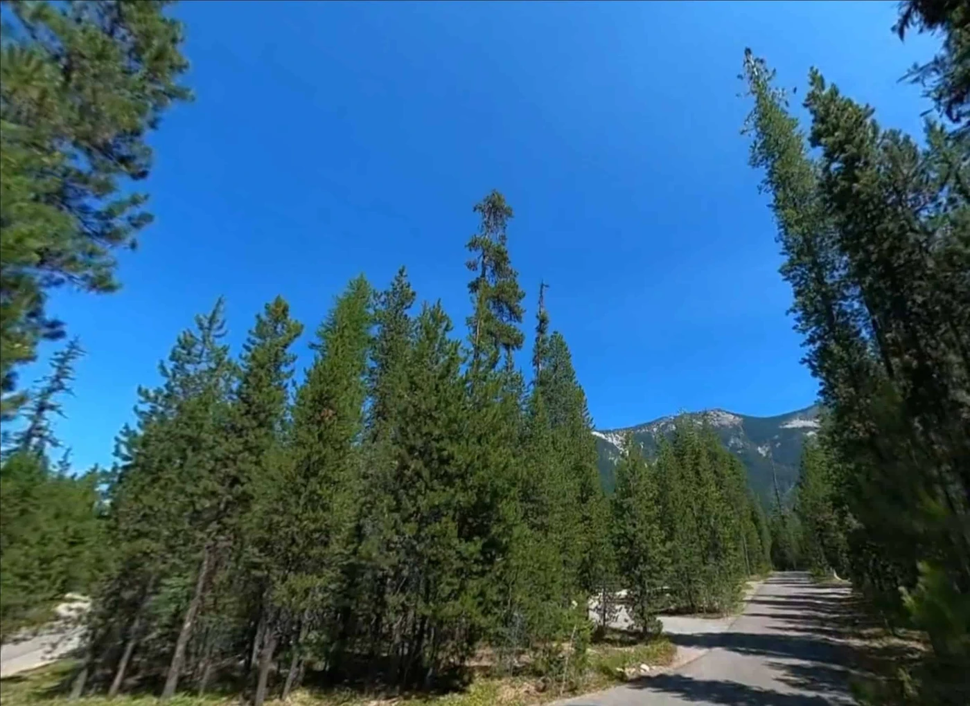 Bumping Lake Campground