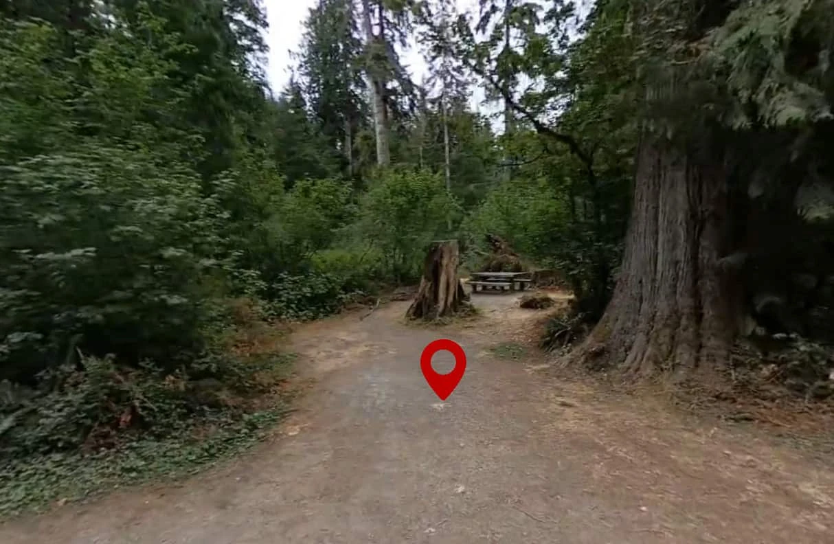 Bedal Campground