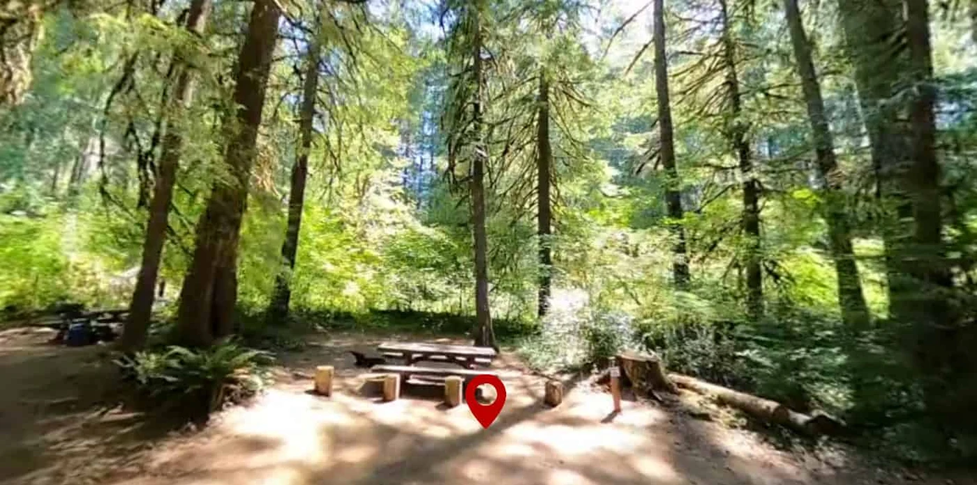 Limberlost Campground