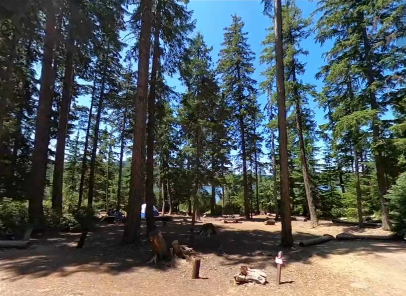 Clear Lake Campground (OR)