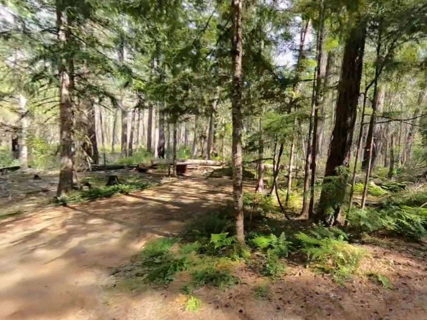 Newhalem Campground