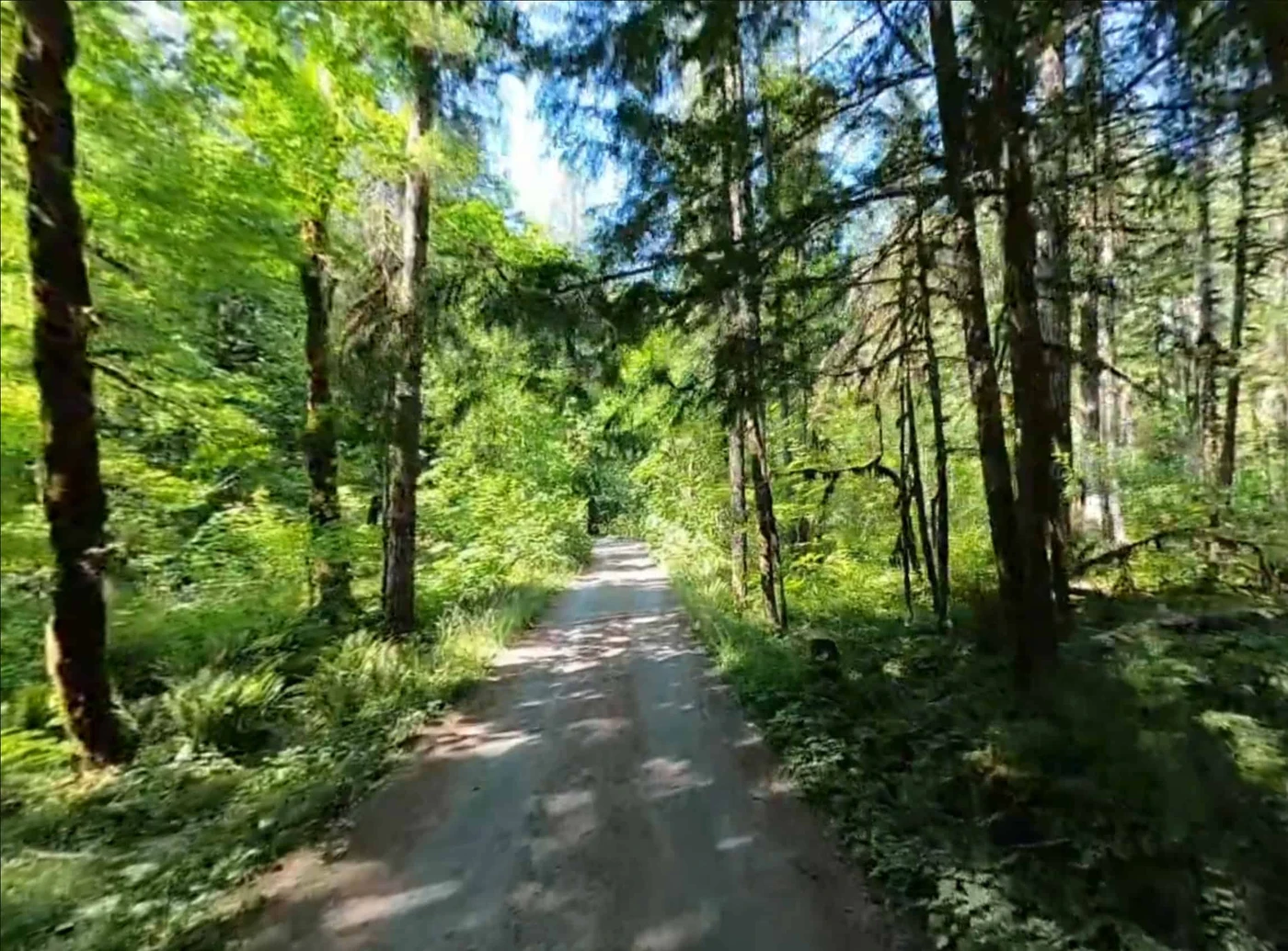 Panther Creek Campground