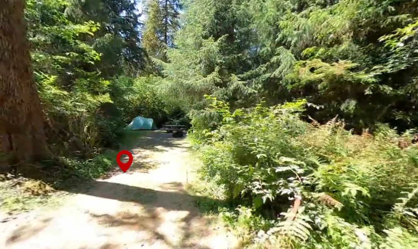 North Fork Campground (WA)