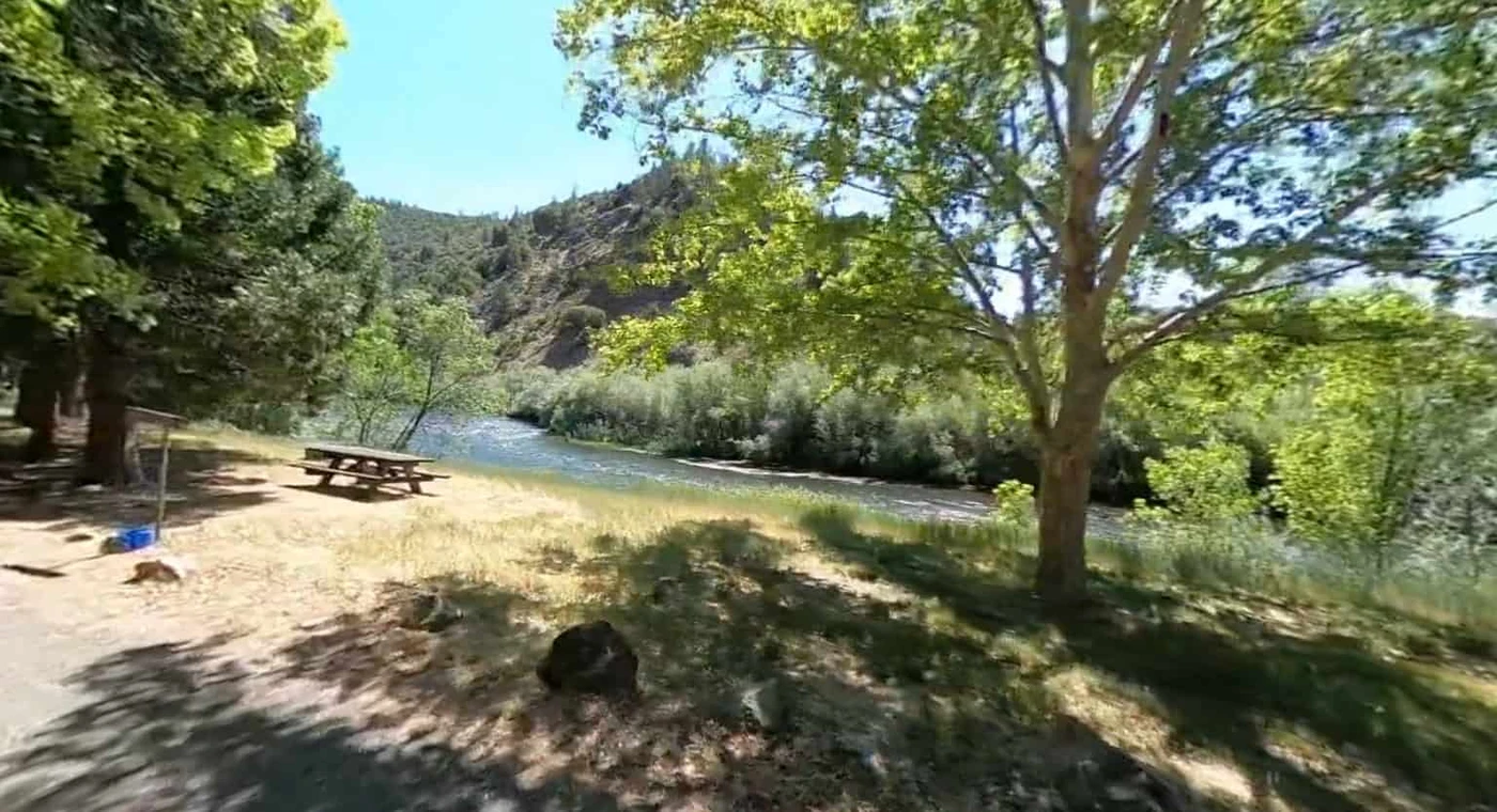 Tree Of Heaven Campground