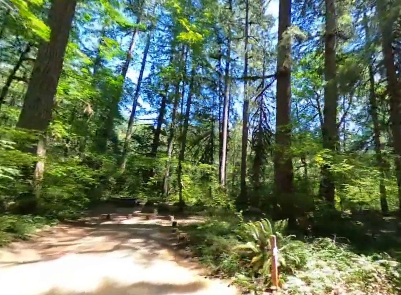 Paradise in Oregon Campground