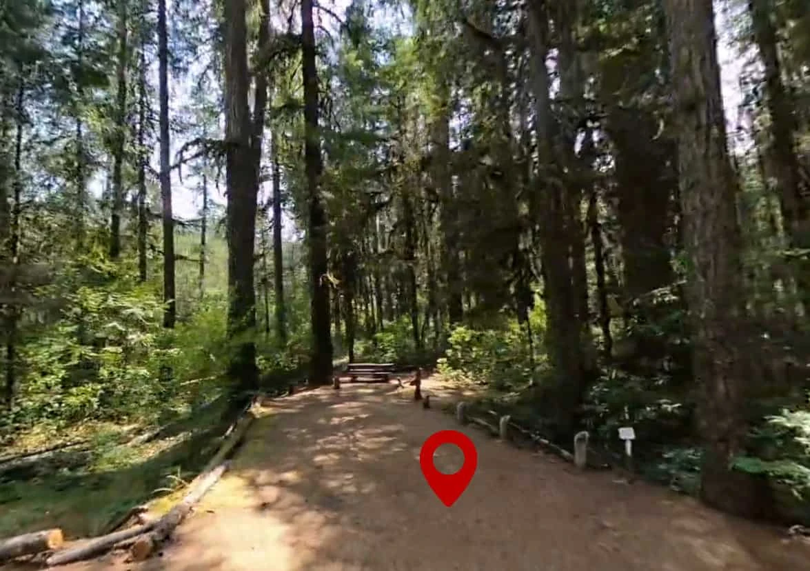 Whispering Falls Campground