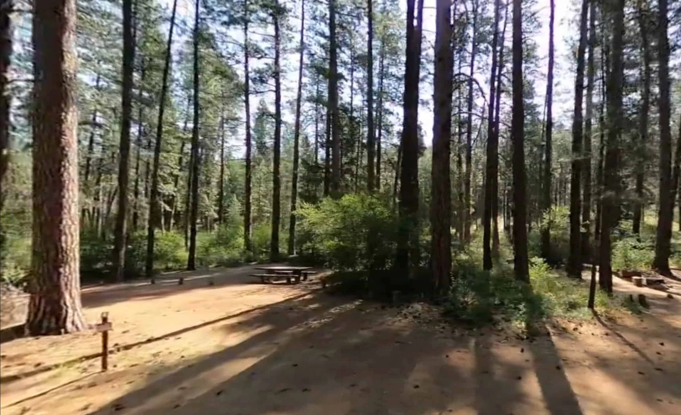Allingham Campground