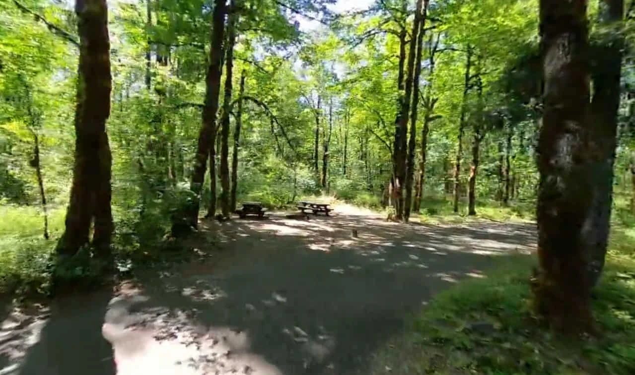 Beaver Campground