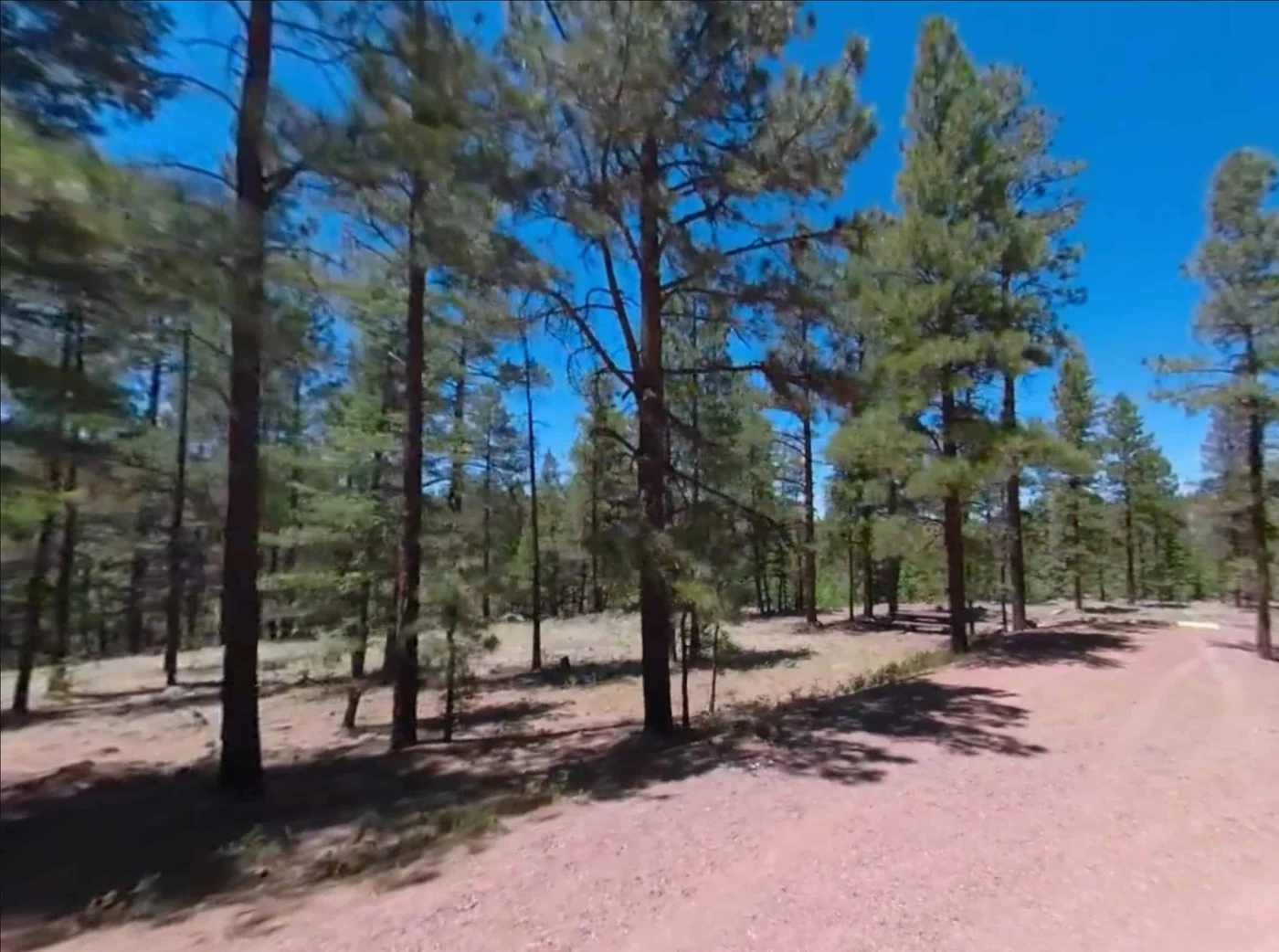 Rolfe C. Hoyer Campground