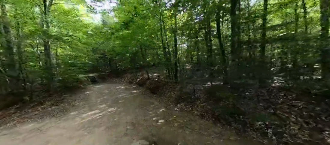 Basin Campground