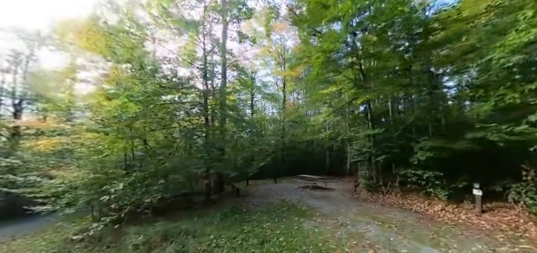 Spruce Knob Lake Campground