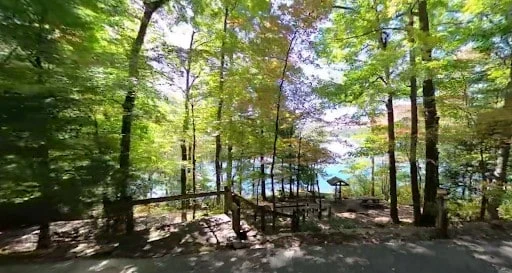 Cardens Bluff Campground
