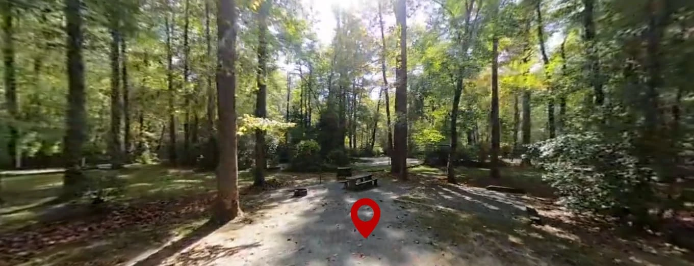 North Mills River Campground
