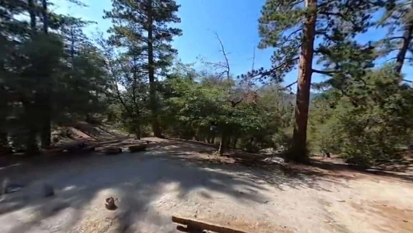 Fern Basin Campground