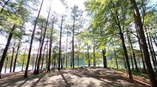 Old Highway 41 #3 Campground