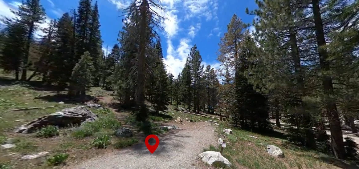 Packsaddle Campground