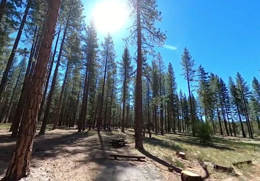 Eagle Campground
