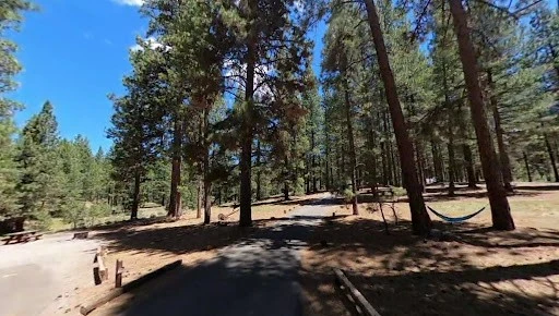 Grizzly Campground