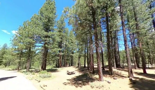 Grizzly Campground