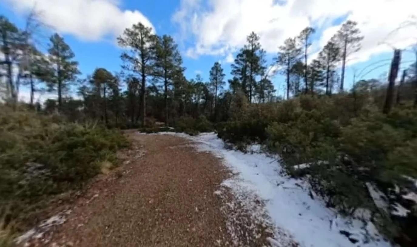 Reef Townsite Group Area Campground