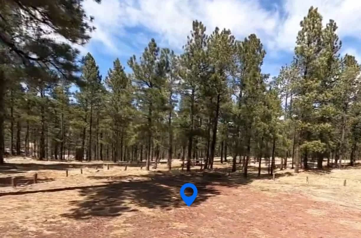 Benny Creek Campground