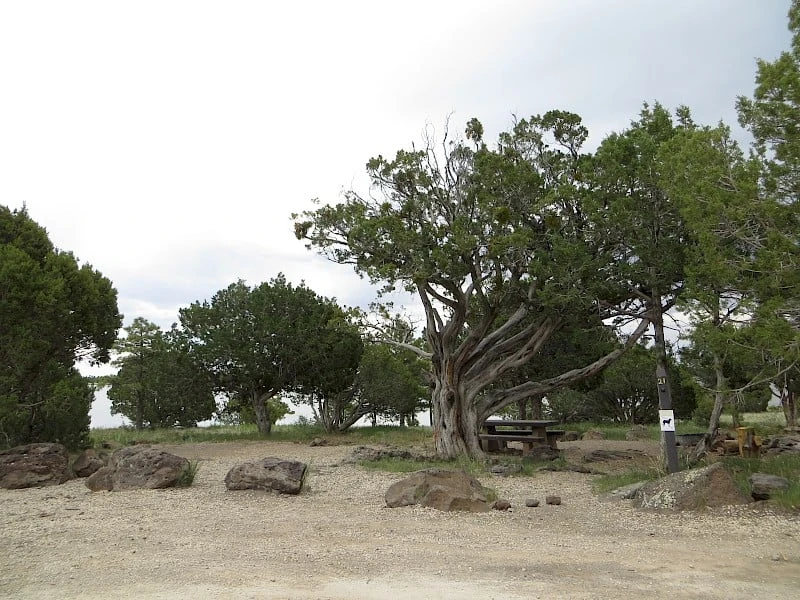 Ashurst Campground