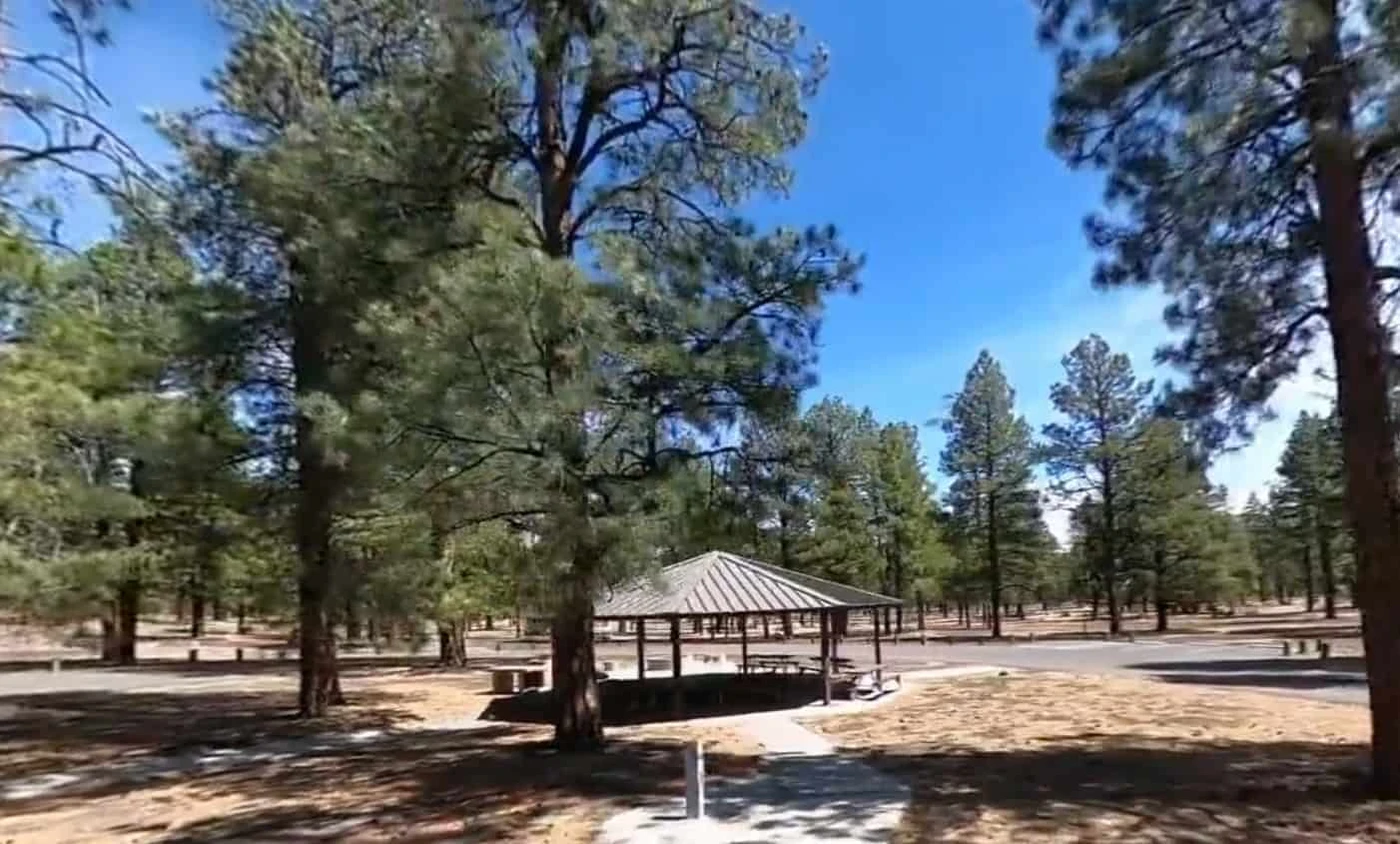 O'Leary Group Campground