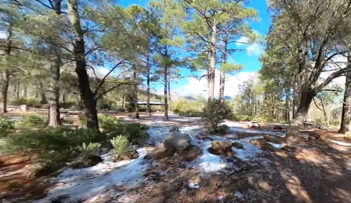 Reef Townsite Campground